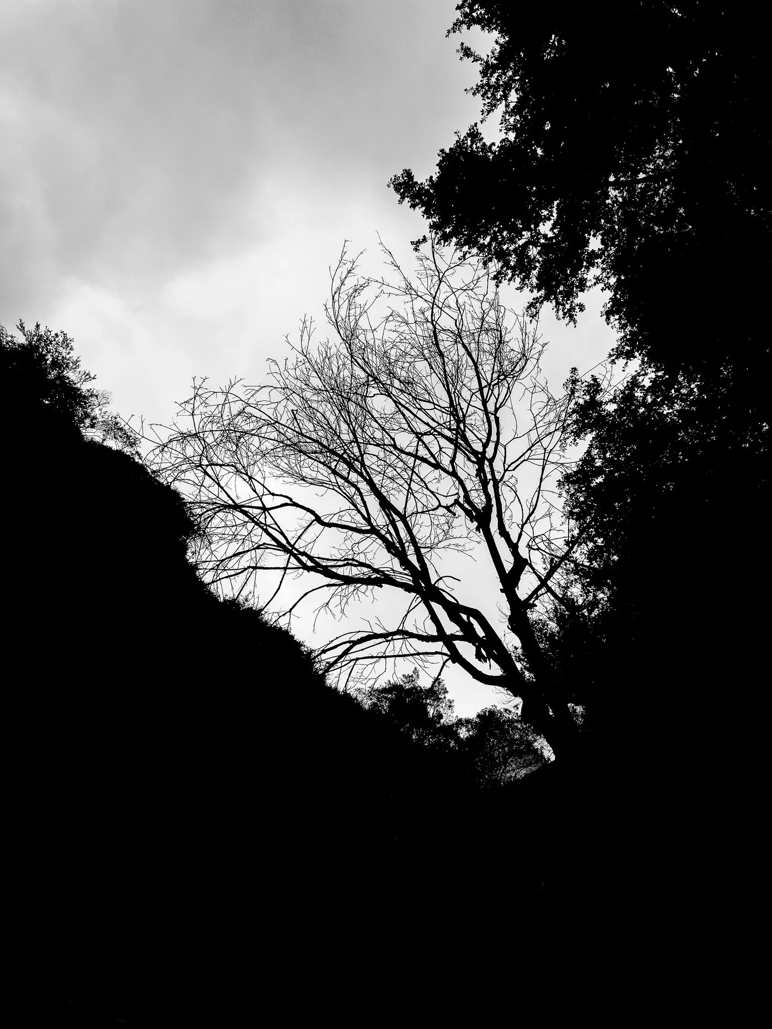 IMG_3325.jpg