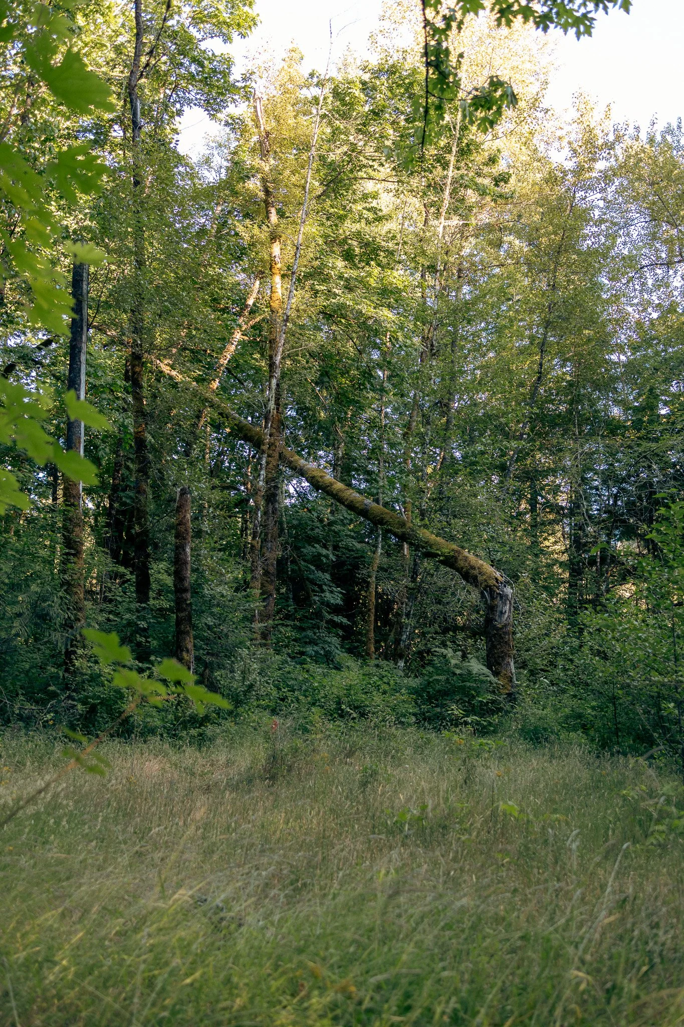 7Y5A9960.jpg