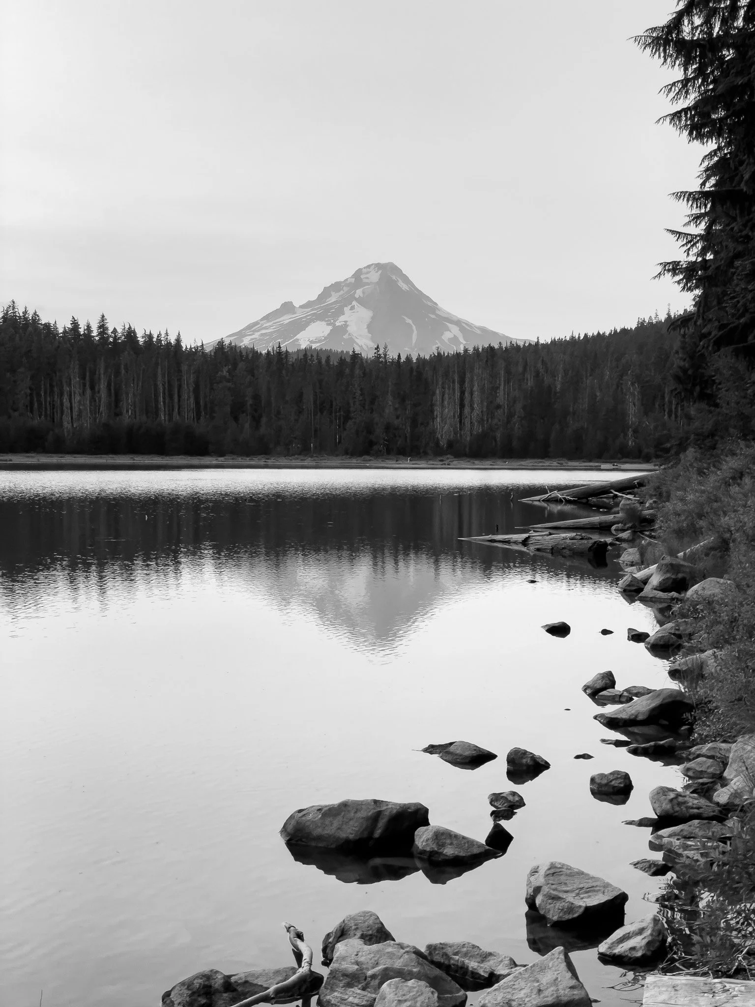 IMG_3928.jpg