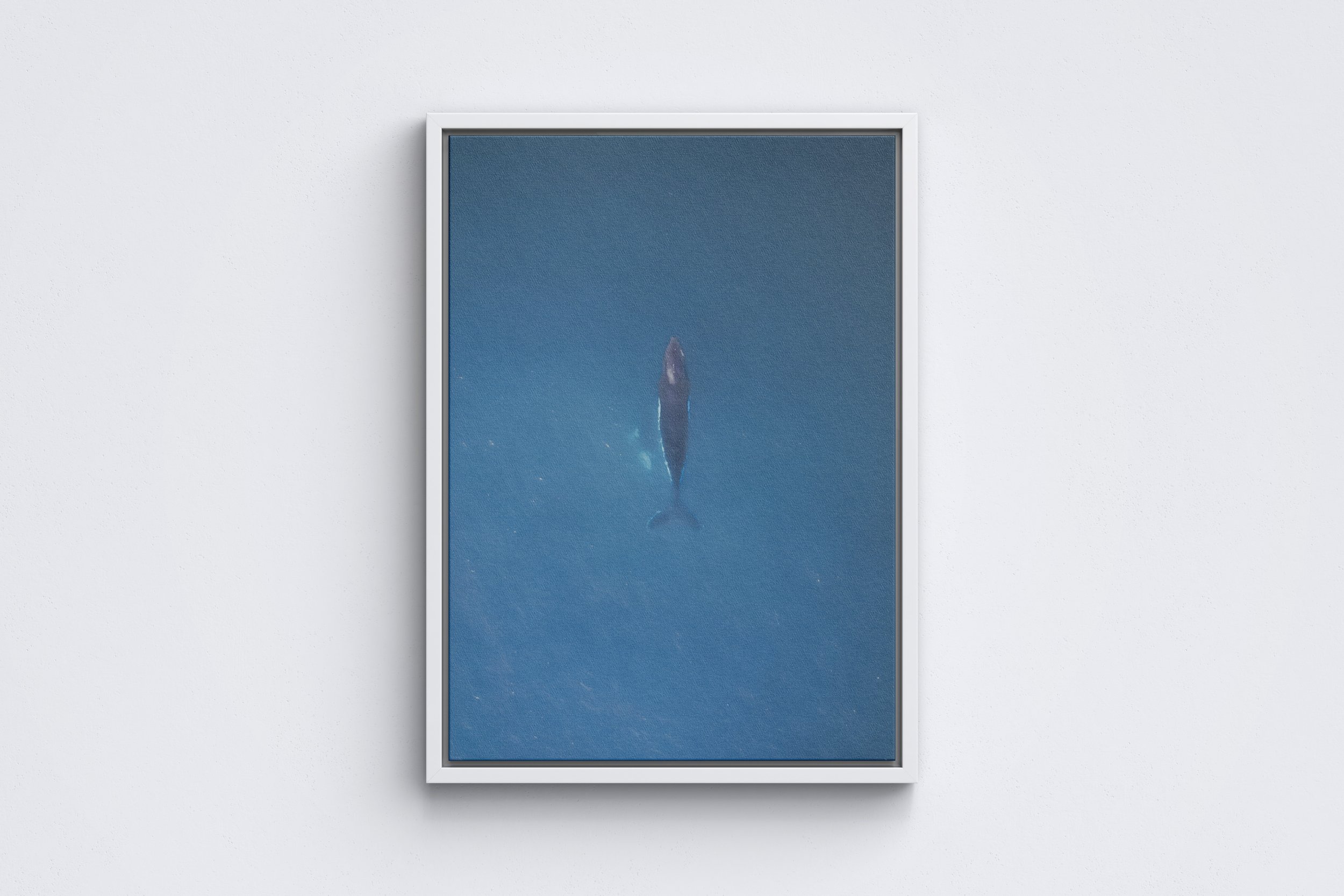 Big Blue Framed Canvas White.jpg