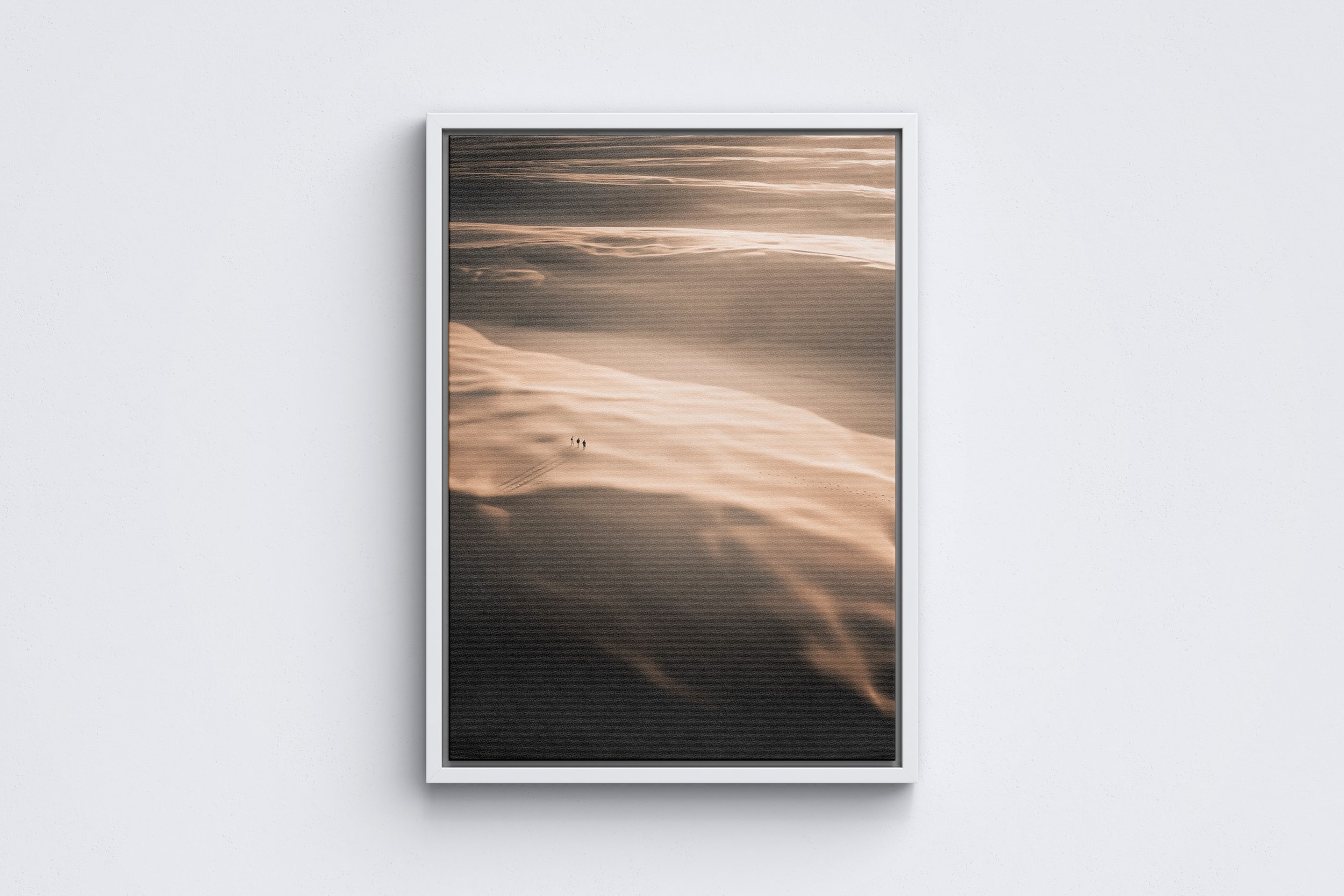 Aimless Explorers Framed Canvas White.jpg
