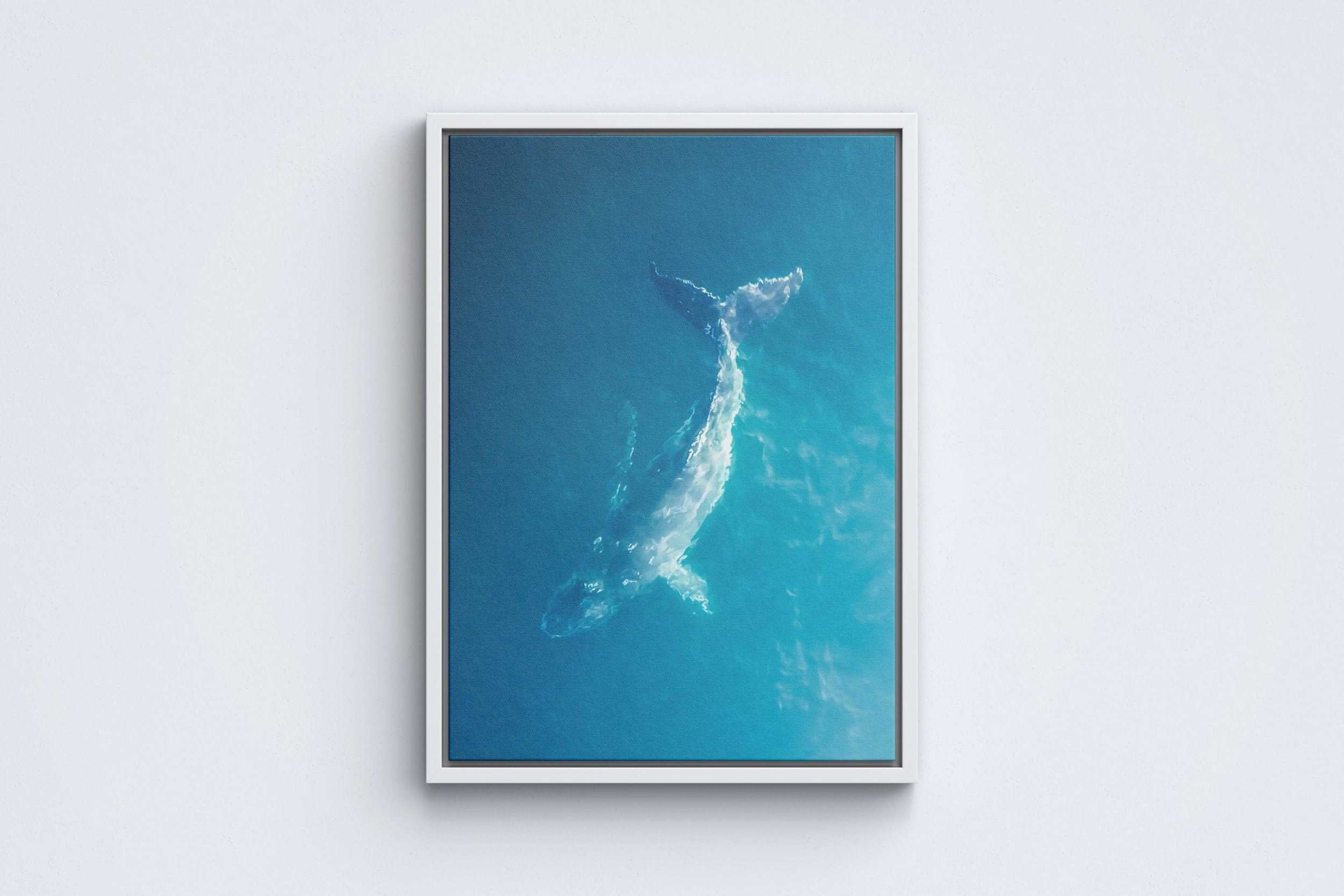 Strike a Pose Framed Canvas White.jpg