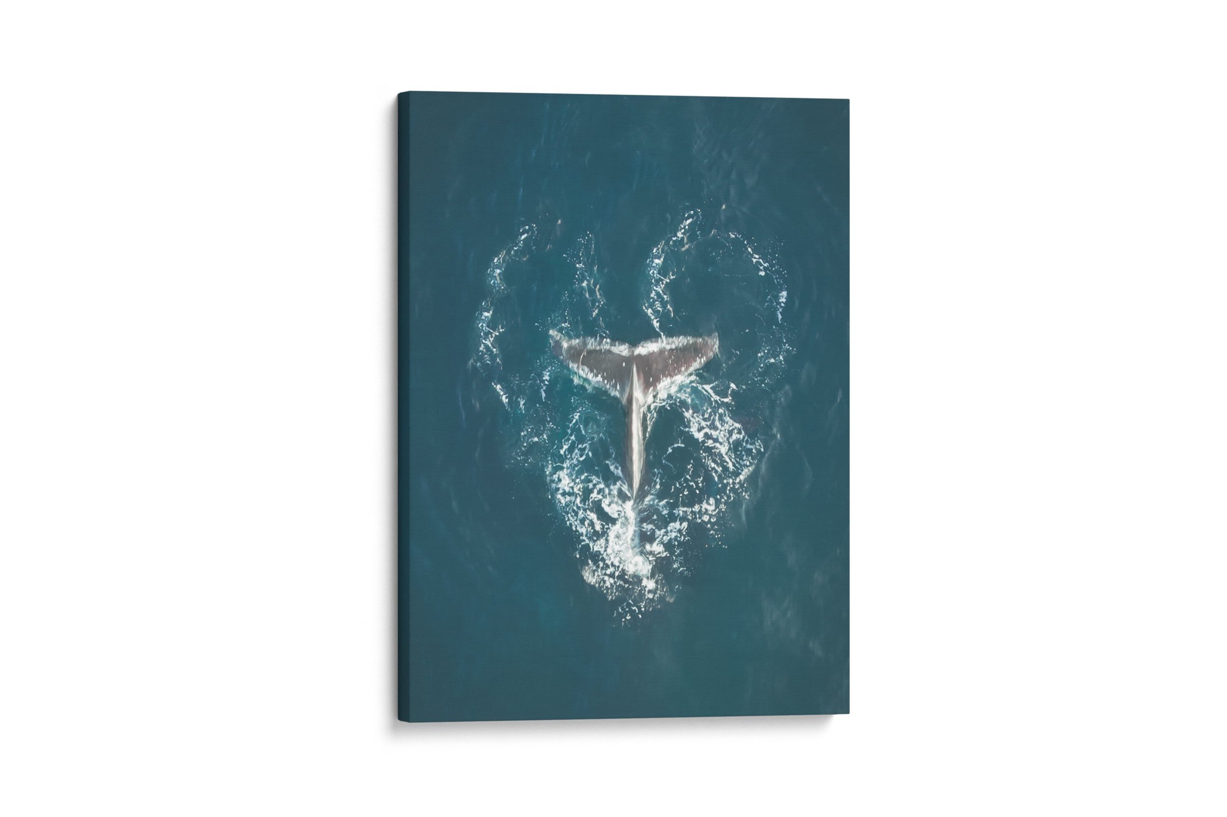 Heart+of+the+Ocean+Canvas.jpg