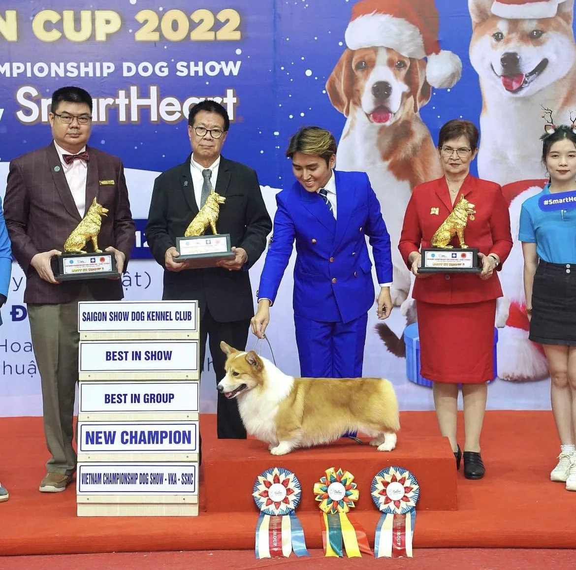 Meet Dalbong, the first Filipino corgi to win at the World Dog Show ...