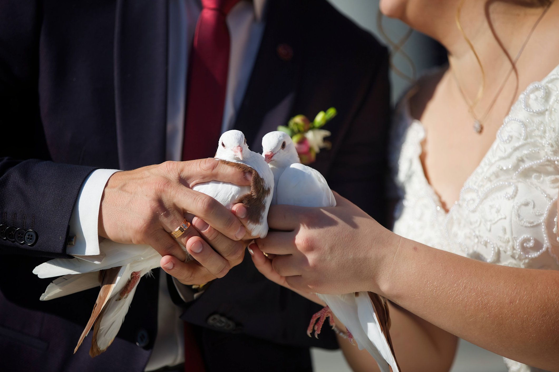 Love, Laughter, and Lumpia | FilAmS’ favorite Ways To Include their Filipino Heritage in Weddings