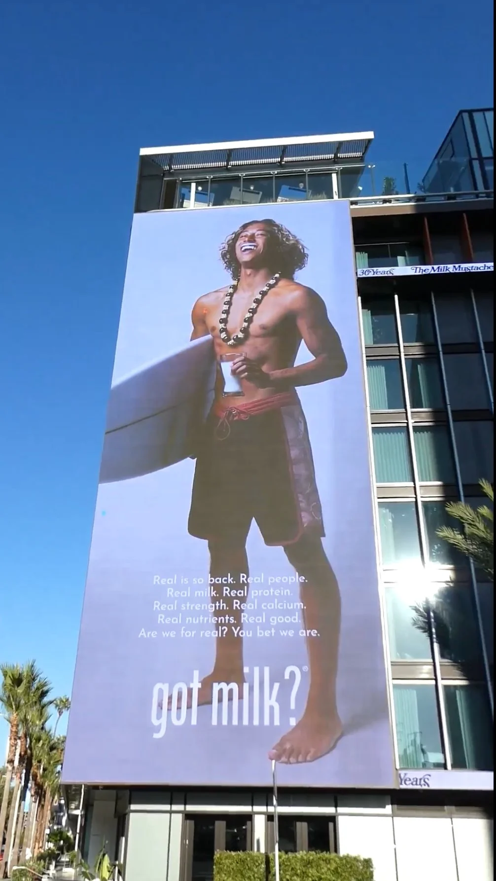 Titus on Bldg at Sunset West Hollywood.jpg