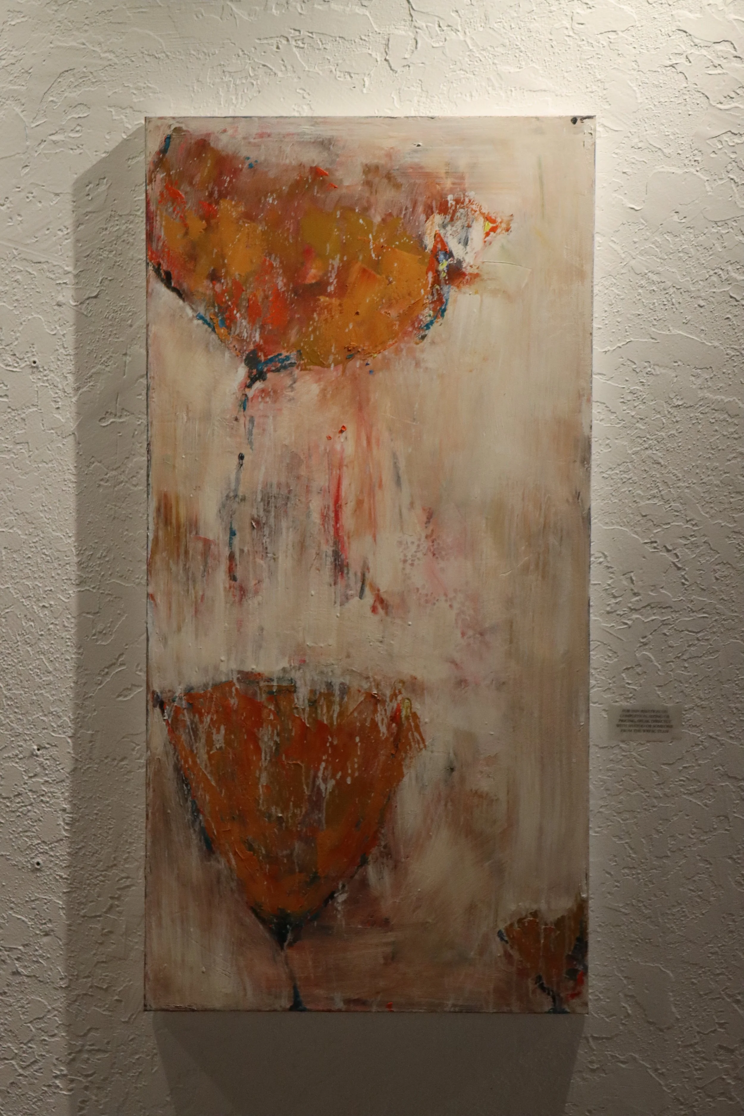 Photo Apr 14 2025, 12 13 48 AM.jpg