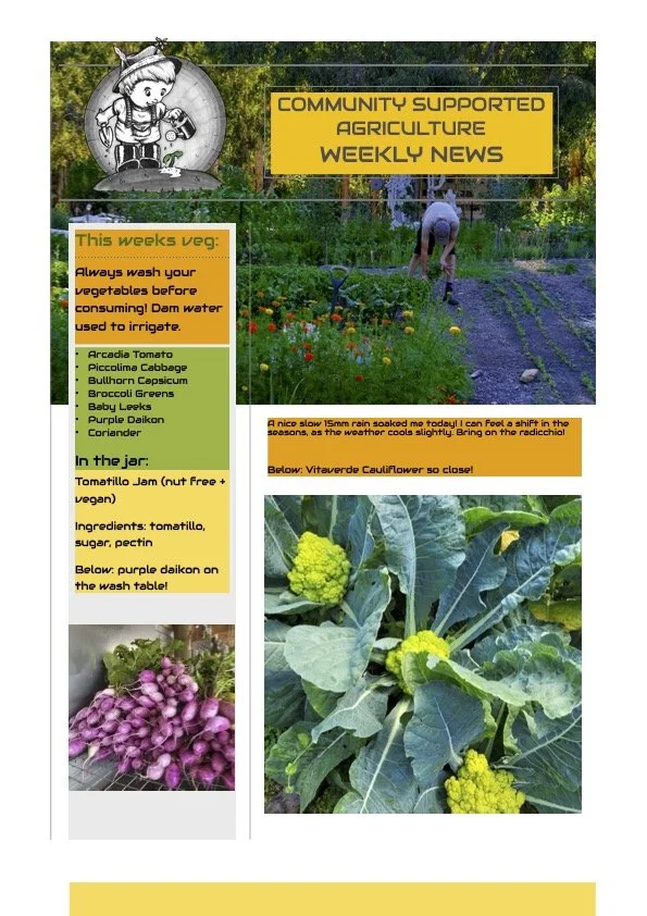 16th March CSA newsletter