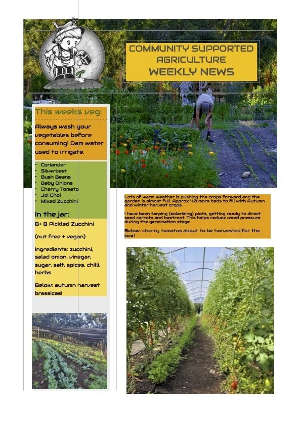 19th January CSA newsletter