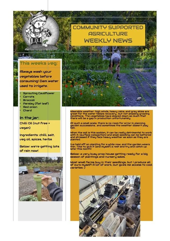 4th August CSA Newsletter
