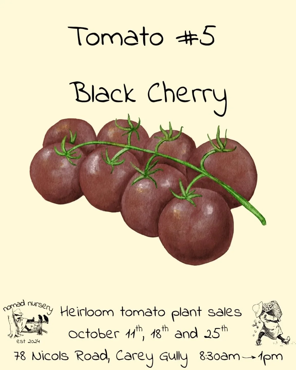 #5 on the 2025 heirloom tomato bonanza is the forever popular &quot;Black Cherry&quot; Tomato.

Every year this is the first variety that sells out and is the absolute  #1 most popular heirloom tomato.

The black cherry has more depth in flavour than