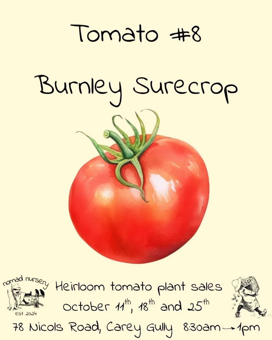 #8 in our October tomato bonanza extravaganza fest.

The Burnley surecrop is a reliable tomato bred in Victoria back in the 1950s made specifically for our unique growing conditions.

This one&rsquo;s a medium-to-large red, round and slightly flatten