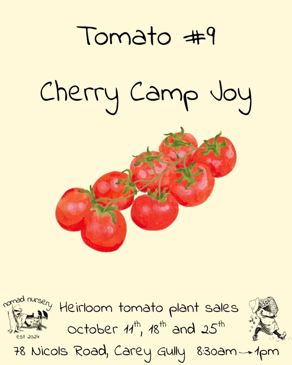 #9 in the life changing Nomad Nursery October tomato bonanza extravaganza festival of yum.

After talking about all those black and larger tomatoes let's dip back into the cherry tomato realm with the&nbsp;cherry camp joy. 

These gems are bright red