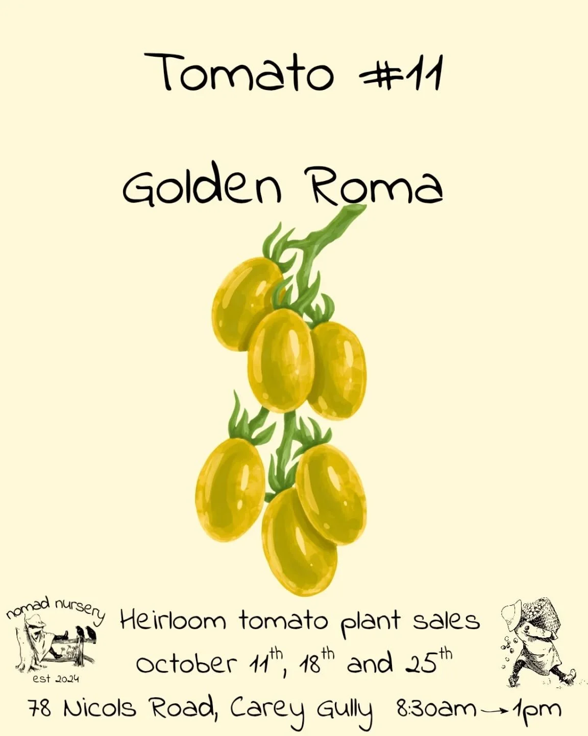Noooooow, I may have possibly forgotten to do this post yesterday so here it is: #11 in our heirloom tomato sale is the Golden Roma

Golden Roma is what happens when a classic Roma decides to go rogue, change colour to a bright yellow-gold and go fro