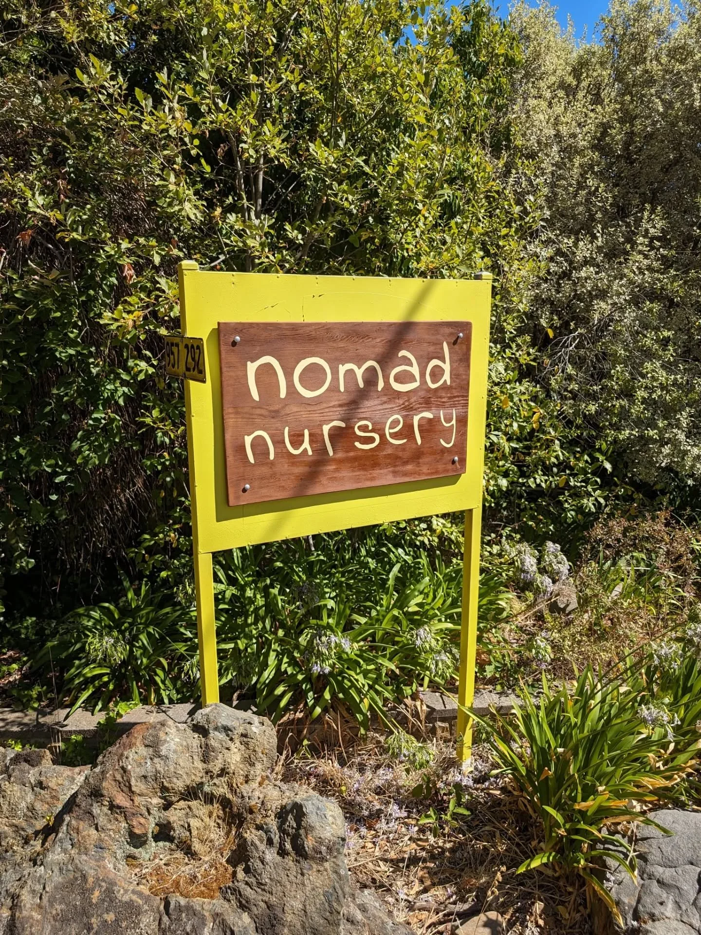 A year (and 3ish weeks) ago, @urbangrow_boi and I decided to join forces and start a plant nursery.

Our main goal with the nursery was that we wanted to grow affordable good quality plants grown using organic compost and not sprayed with a bazillion