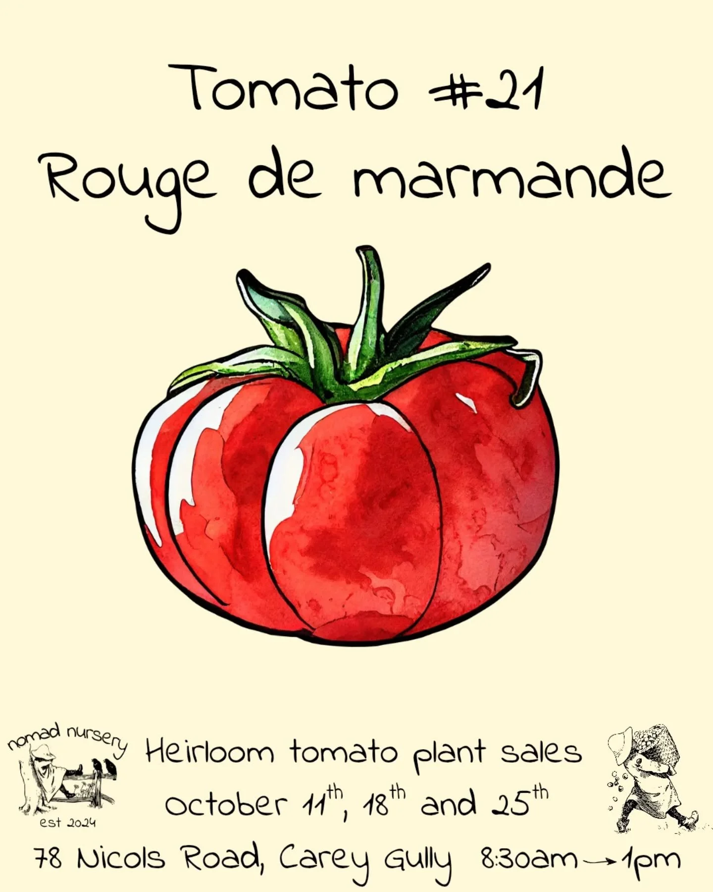 Heirloom tomato #21 Rogue De Marmande

This is an old school delicious big thick ribbed french heirloom beefsteak tomato. If you're looking for a big thicc tomato then this is the one from the list.

We grow a mix of unusual heirloom tomatoes in our 
