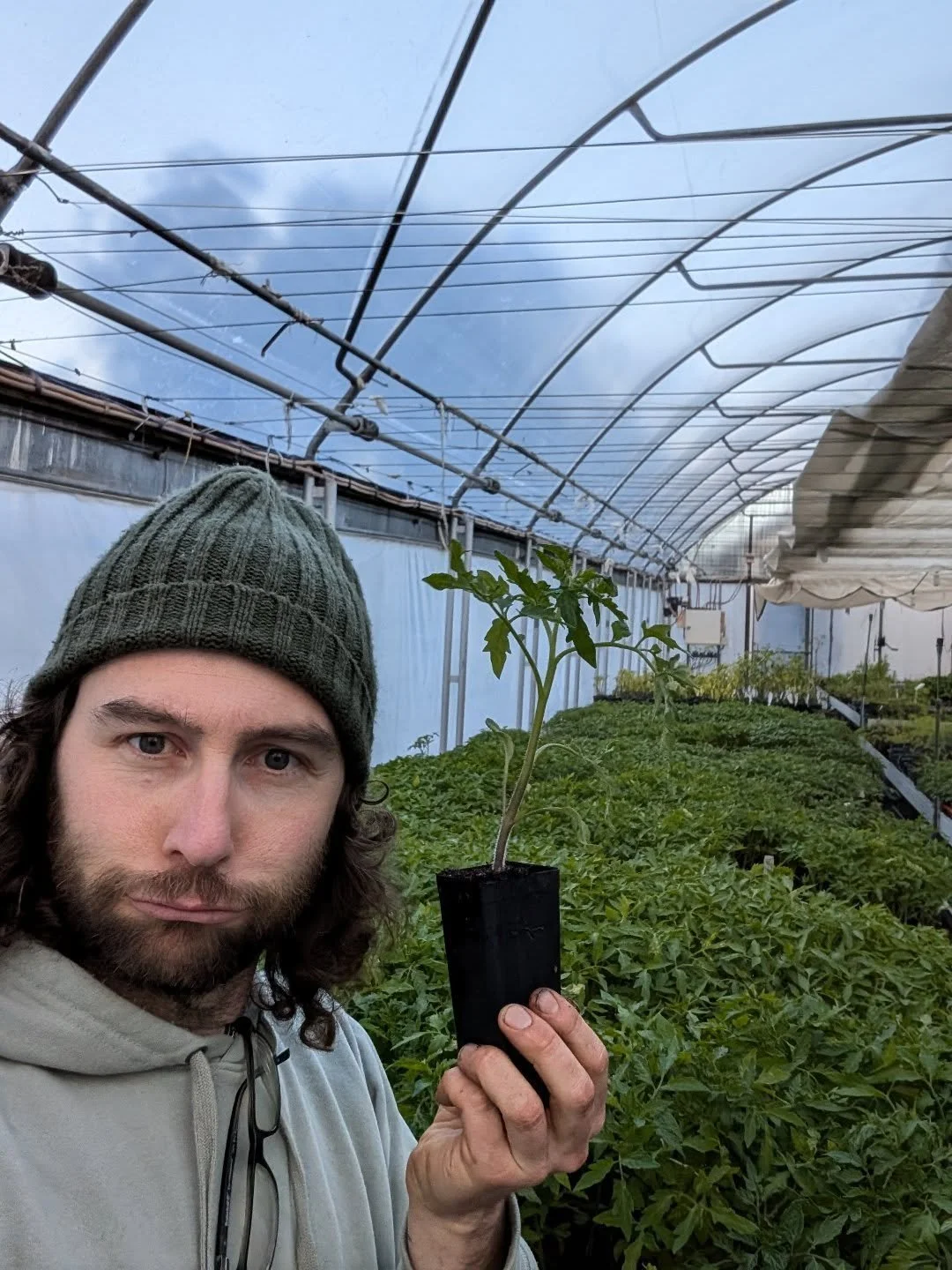 Tomato time is nearly upon us. We are back open this Saturday the 11th of October from 8:30am - 1pm. 78 Nicols Road, Carey Gully.

29 Varieties of heirloom tomatoes, stacks of herbs, veg, perennials, flowers and more. 

All grown by us with no synthe