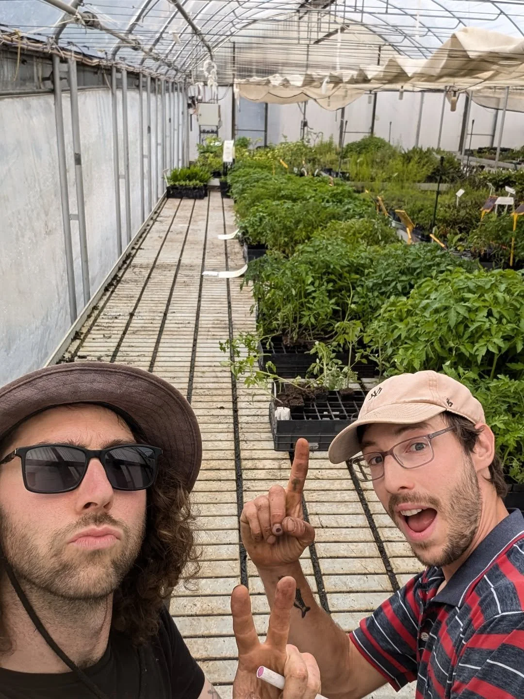 A big thank you from us here at Nomad Nursery for the huge support over the last three Saturdays.

The October heirloom tomato sales were a smash hit and our little new independent nursery really saw some traction. 

Exciting to see so many new faces