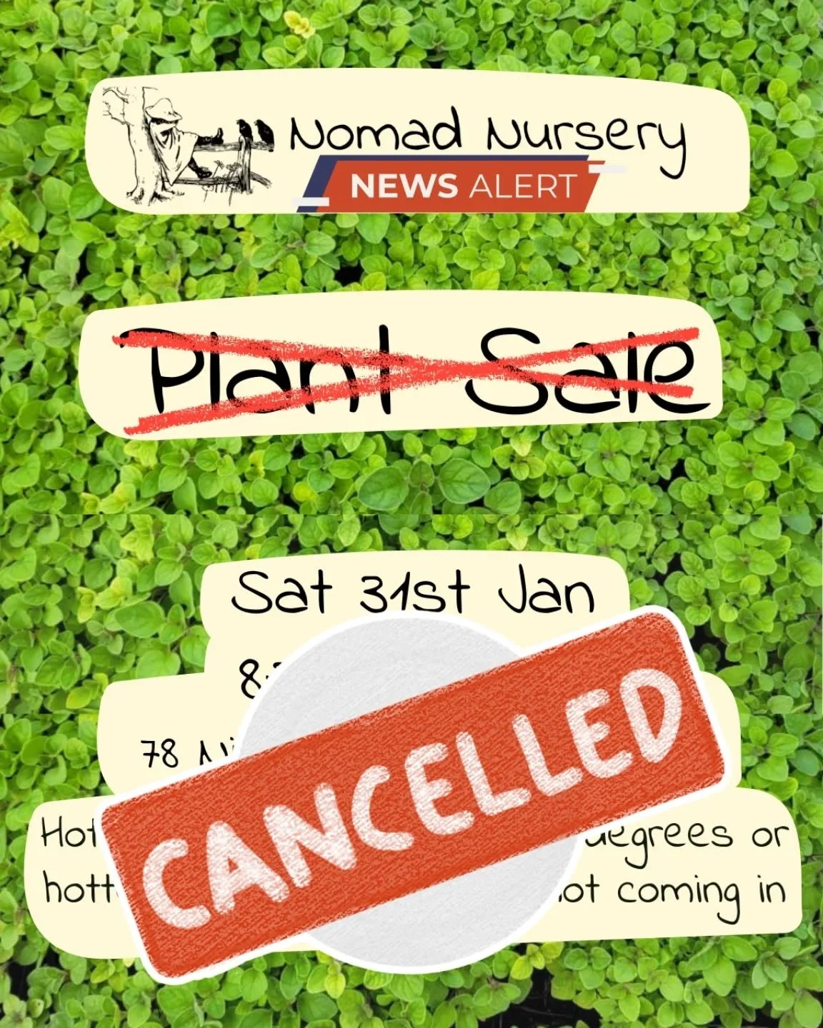 Update: Saturdays plant sale is cancelled 😞 

Yesterday at the nursery our electricity cut out for our retail space, which then cut off our irrigation timers in the peak of the hottest day thus far and we lost a lot of our retail stock. 

Sorry to t