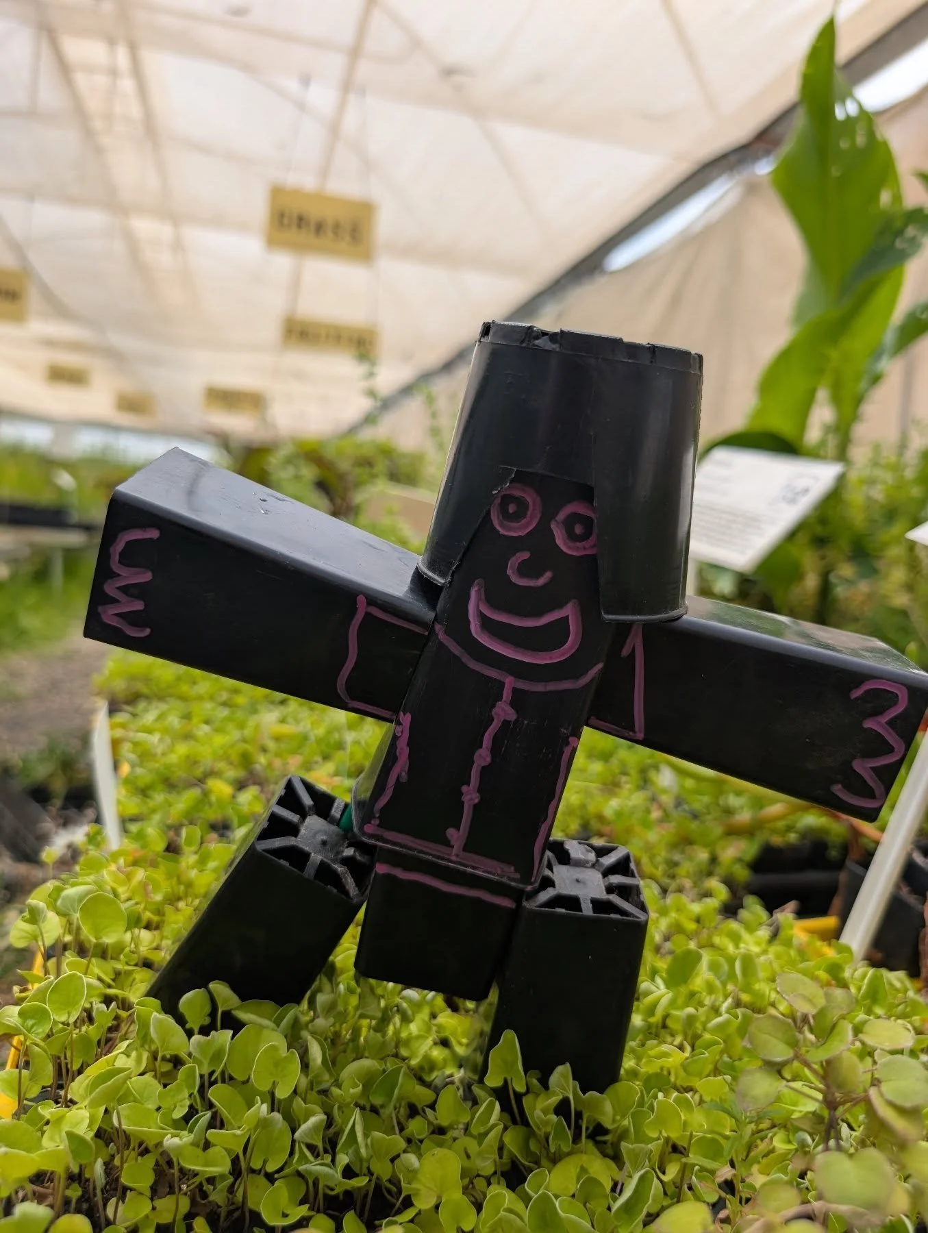 Hey plant fam, we have some news, after a lot of chats and consideration between Jackson and I we&rsquo;ve decided to hang up the Nomad Nursery boots. We will have our last and final plant sale on the 14th&nbsp;of March then that&rsquo;s it from us. 