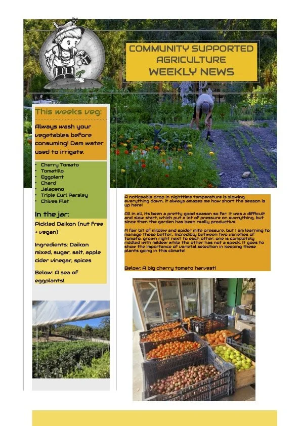 9th March CSA newsletter
