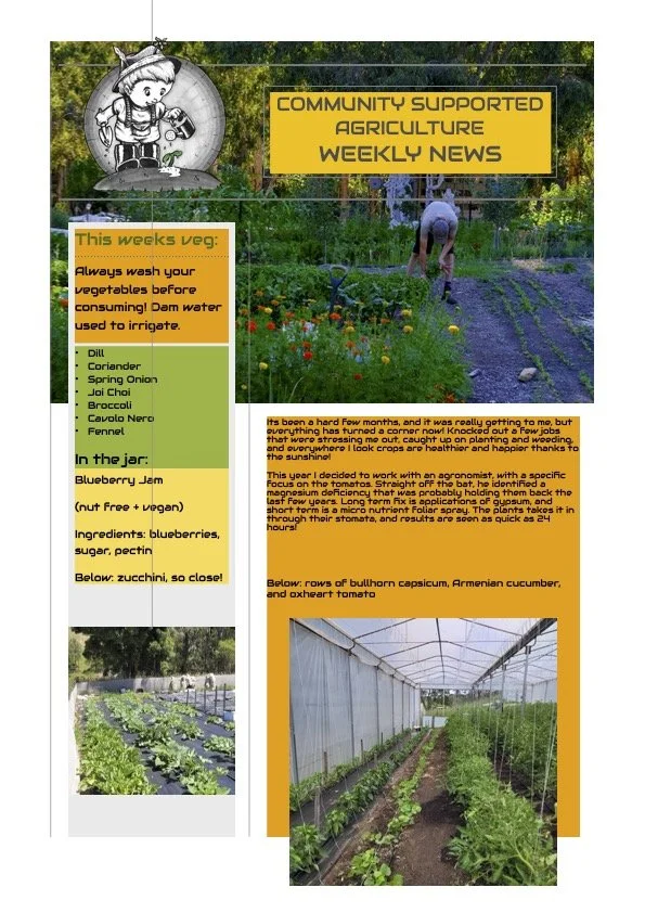 15th Dec CSA Newsletter