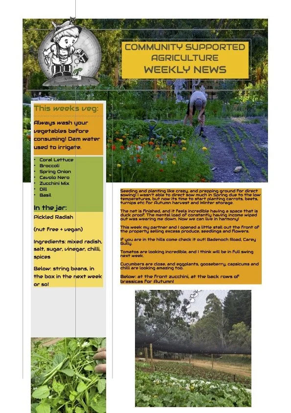 12th January CSA newsletter