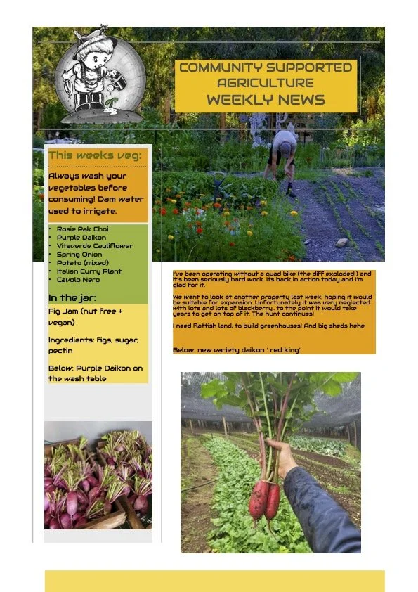 20th April CSA Newsletter