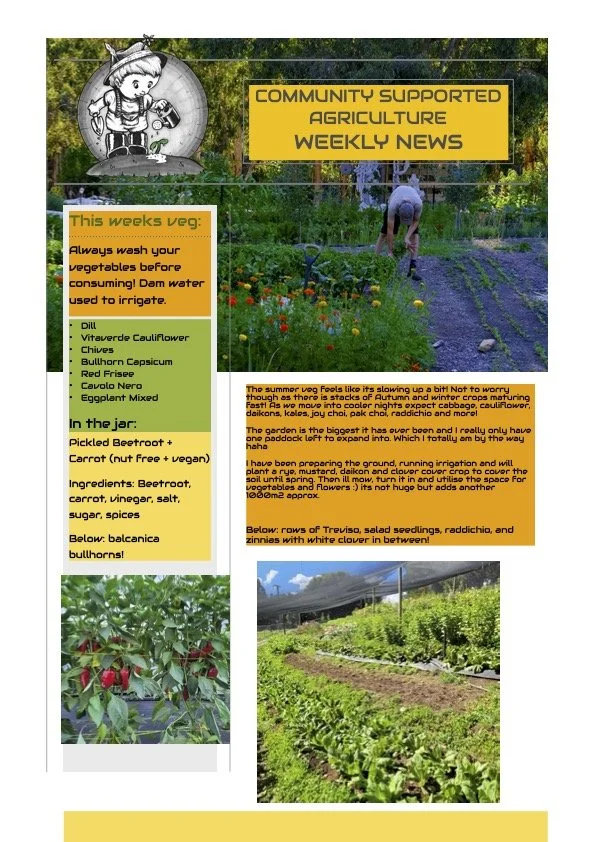 23rd March CSA newsletter