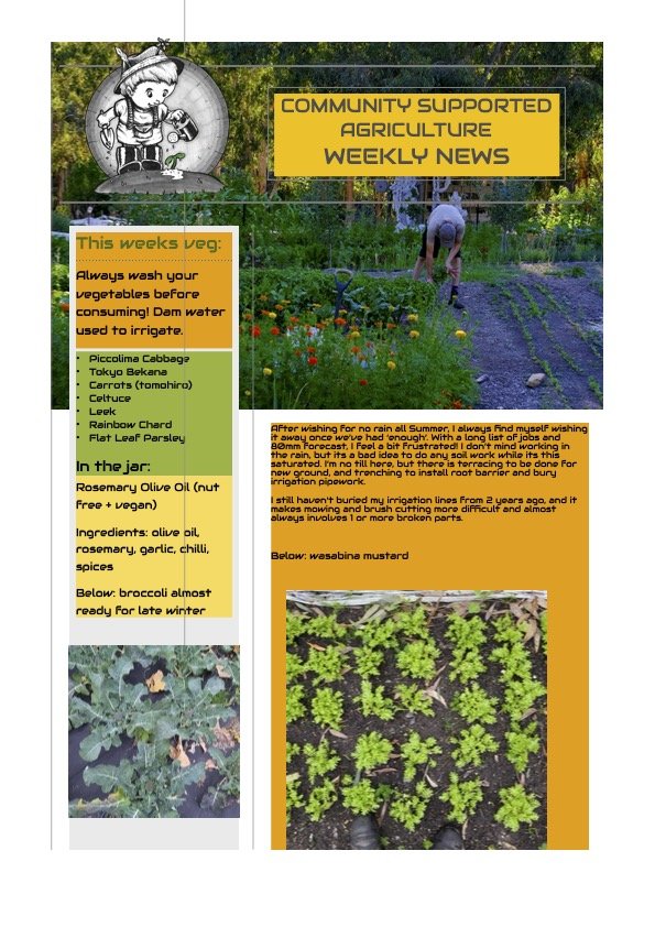 7th July 2025 Newsletter