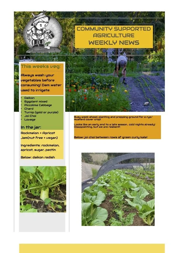 30th March CSA Newsletter
