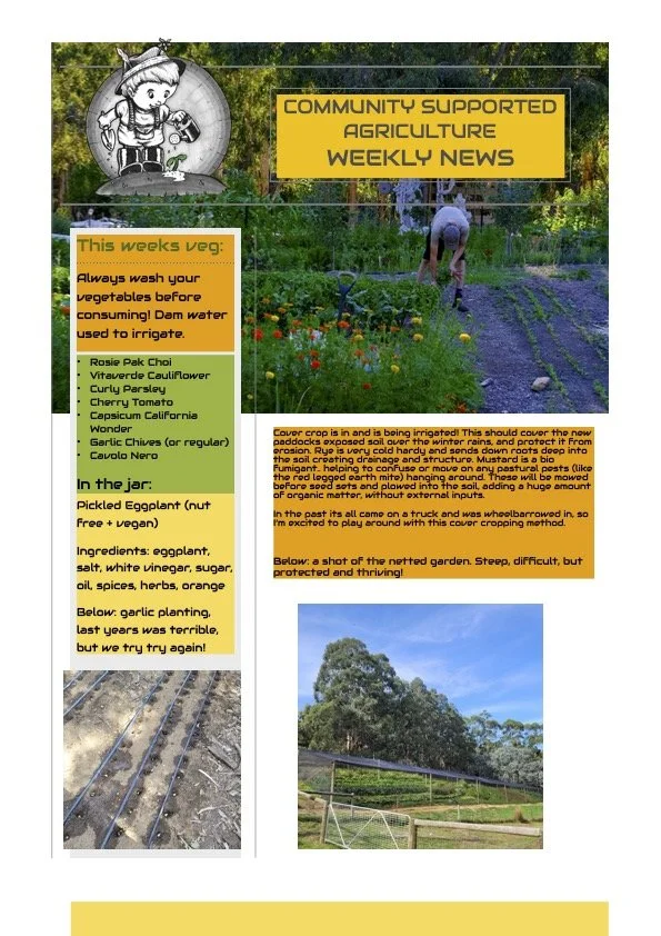 6th April CSA Newsletter