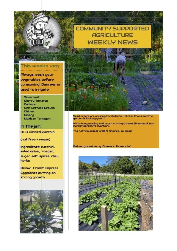 5th January CSA newsletter