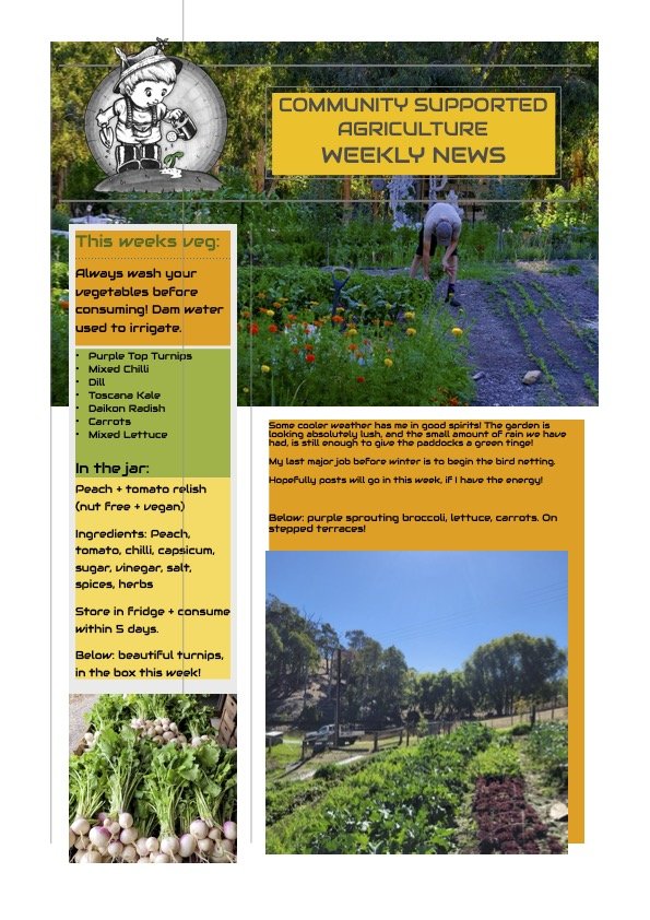 28th April CSA Newsletter