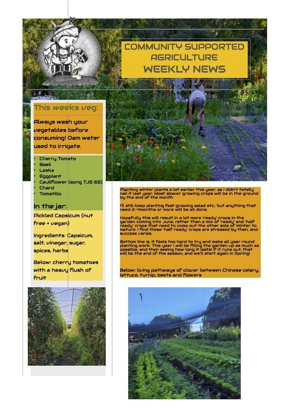 23rd Feb CSA newsletter