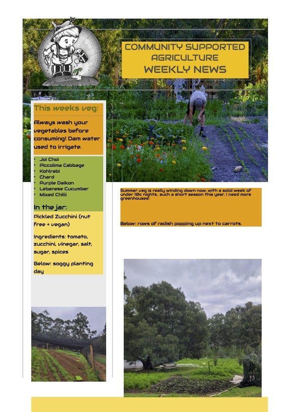 13th April CSA Newsletter