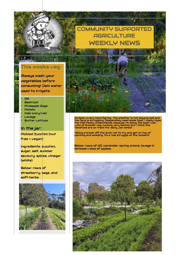 1st December CSA Newsletter