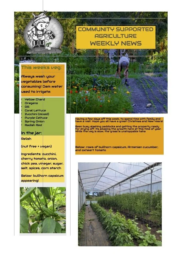 22nd  Dec CSA Newsletter