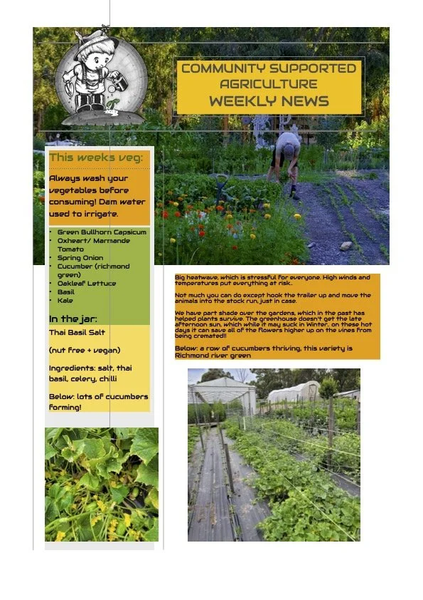 26th January CSA newsletter