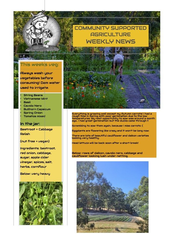 16th Feb CSA Newsletter