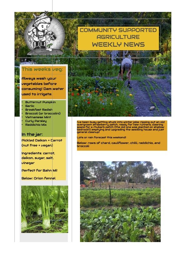 2nd June Newsletter CSA.jpg