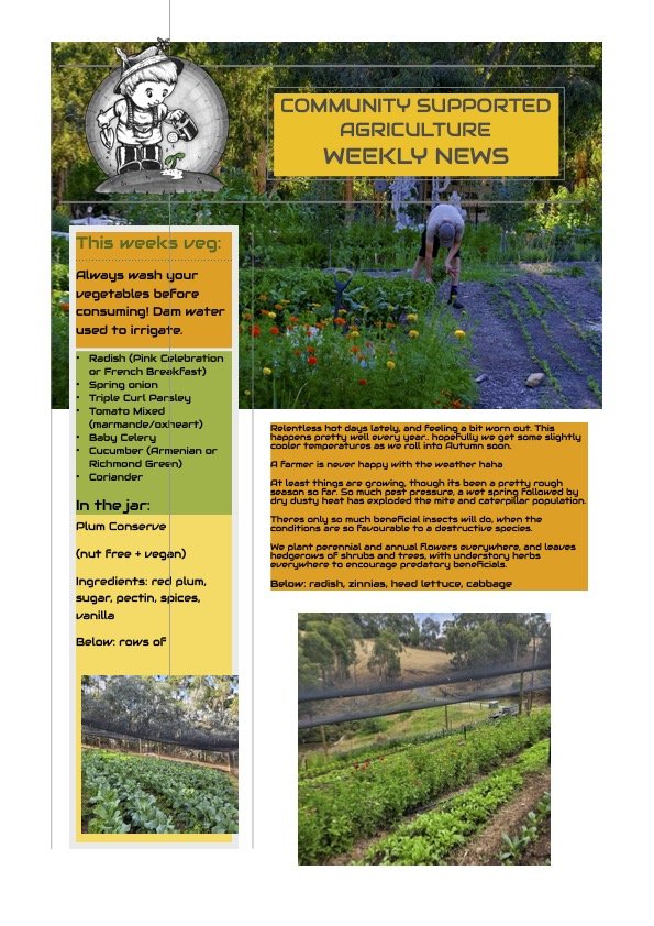 9th Feb CSA Newsletter