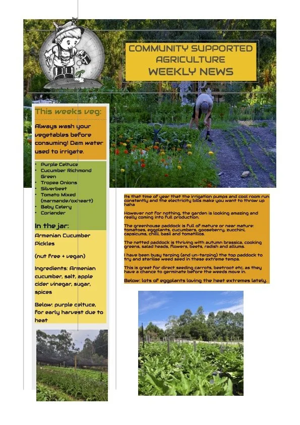 2nd Feb CSA newsletter