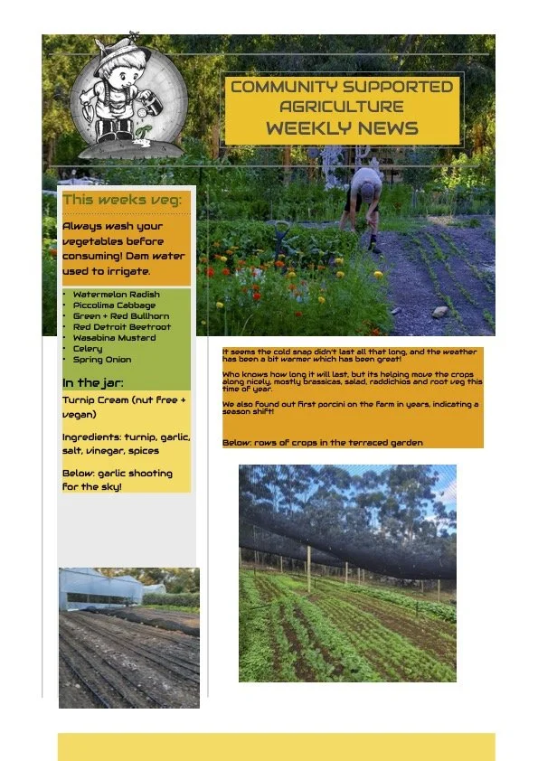 27th April CSA Newsletter