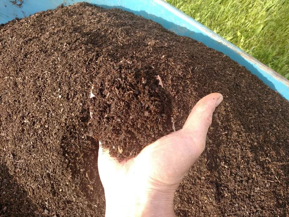 Cortland Lawmakers Look to Reduce Food Waste
