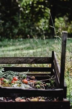 McGraw resident takes area food waste reduction into his own hands