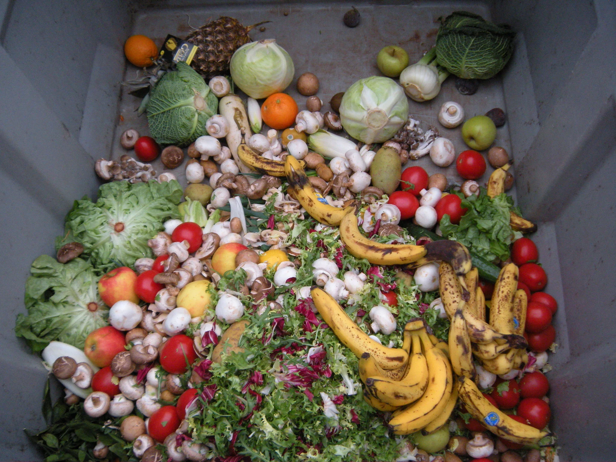 What is Food Waste?