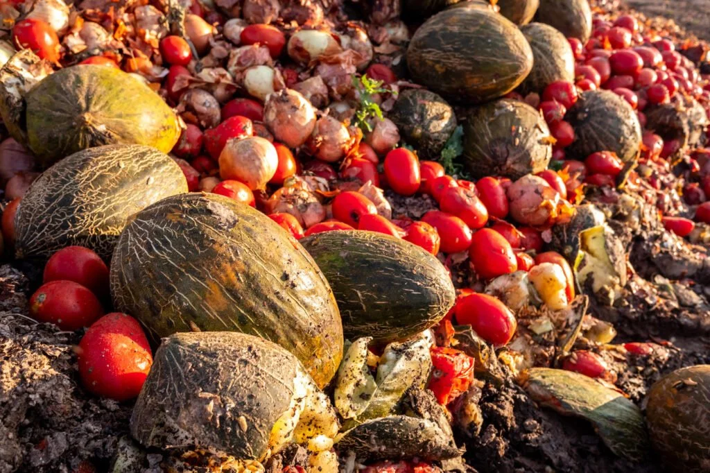 Food Waste: What You Can Do