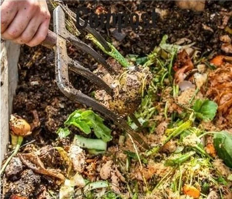 Five Reasons to Compost #3 