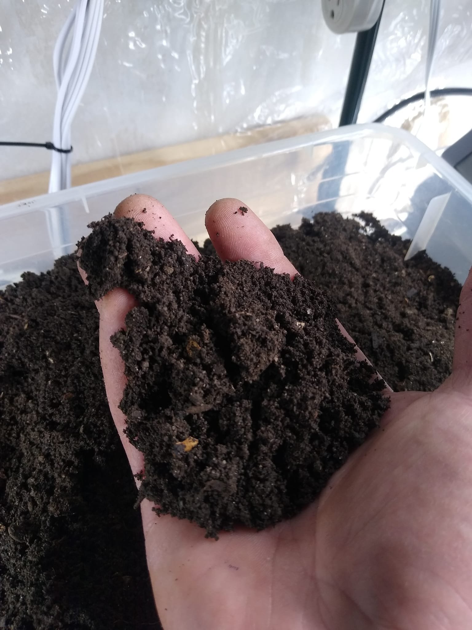 What is Compost? 